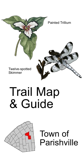 Park Cover Image